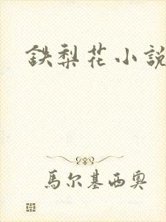 铁梨花小说