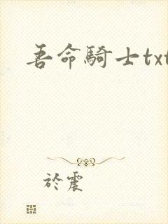 吾命骑士txt