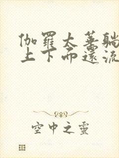 伽罗太华躺在床上下面还流东西