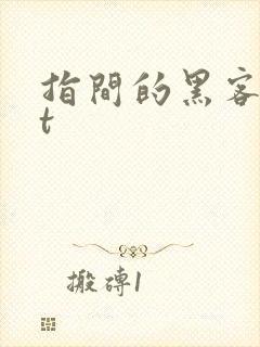 指间的黑客txt