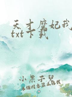 天才魔妃我要了txt下载