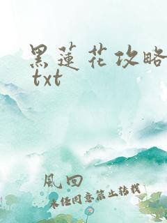 黑莲花攻略手册 txt
