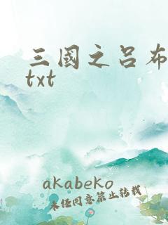 三国之吕布新传txt