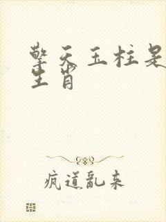 擎天玉柱是什么生肖