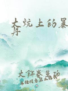 大炕上的暴伦小丹