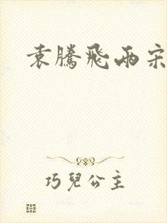 袁腾飞两宋风云