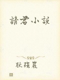 请君小说