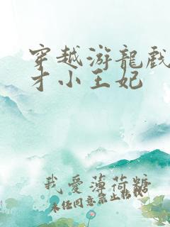 穿越游龙戏凤天才小王妃