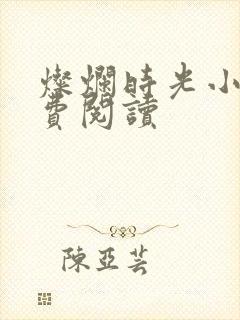 灿烂时光小说免费阅读