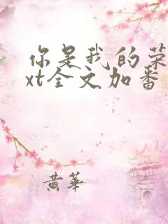 你是我的荣耀txt全文加番外