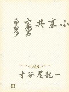 皇家共享小公主多男