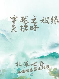 穿越之姻缘劫萧炎攻略