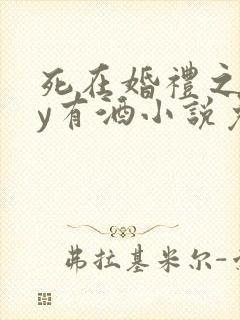 死在婚礼之前by有酒小说免费阅读