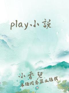 play小说
