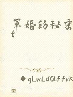 军婚的秘密txt