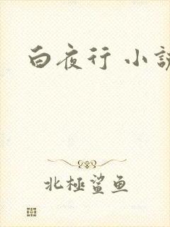 白夜行 小说