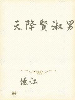 天降贤淑男小说