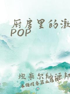 厨房里的激战2POP