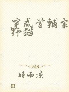 穿成首辅家的小野猫