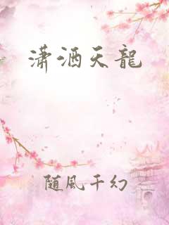 潇洒天龙