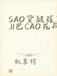 SAO货腿张开JI巴CAO死我