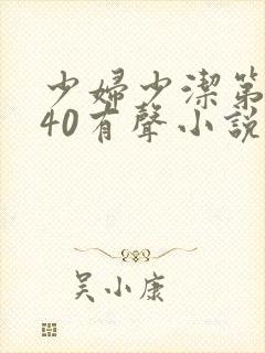 少妇少洁第1一40有声小说