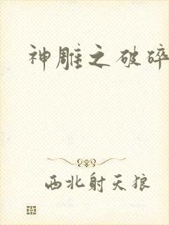 神雕之破碎之旅