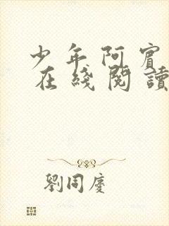 少 年 阿 宾 在 线 阅 读