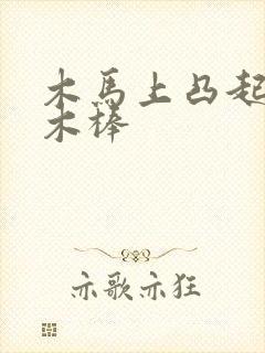 木马上凸起电动木棒