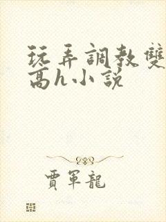 玩弄调教双胞胎高h小说