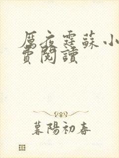 厉夜霆苏小汐免费阅读