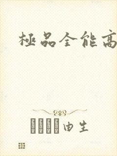 极品全能高手