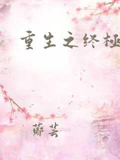 重生之终极杀手