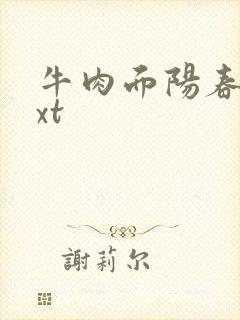 牛肉面阳春面txt