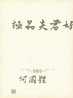 极品夫君好又多