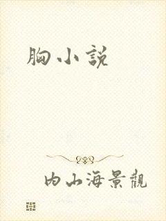 胸小说