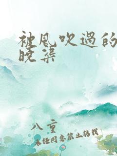 被风吹过的夏天晓渠