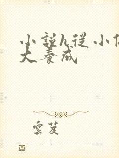 小说h从小做到大养成