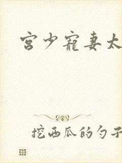 宫少宠妻太凶猛