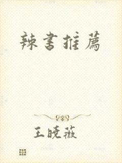 辣书推荐