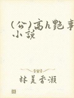 (公)高h艳事小说