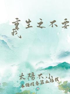 重生之不要爱上我