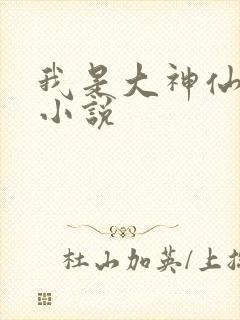 我是大神仙时江小说