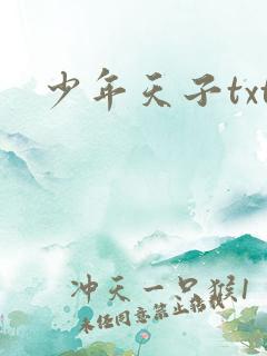 少年天子txt