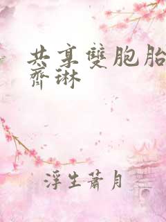 共享双胞胎齐娜齐琳