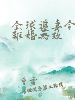 全球追妻令老婆离婚无效