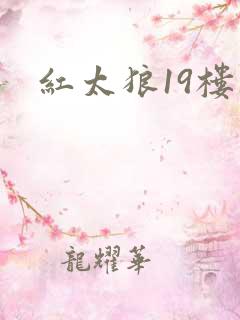 红太狼19楼
