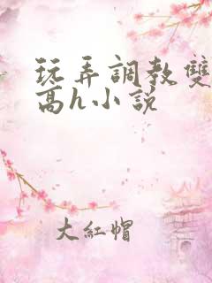 玩弄调教双胞胎高h小说