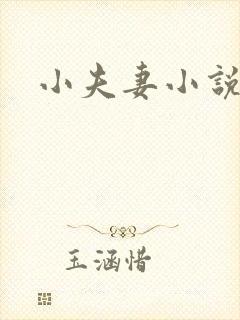 小夫妻小说