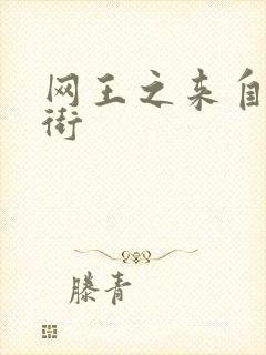 网王之来自流星街